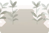色褪せた草・白