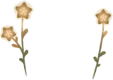 静かに佇む星ランプの草
