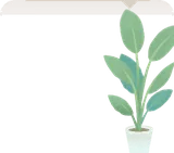ストレリチアの鉢植え