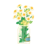 摘んできたお花たちの瓶