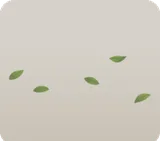 そよぐ葉っぱ