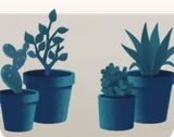 翡翠色の植木鉢