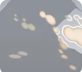 木陰のフィルター
