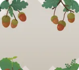 どんぐりの茂み