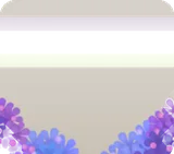 色鮮やかな珊瑚