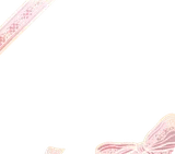 レースリボンフレーム