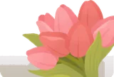 チューリップの花束