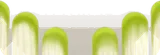 庭先の白い柵