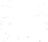 晴れ間の雨粒