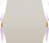 窓辺のカーテン・白