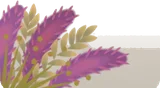 乾燥させた植物