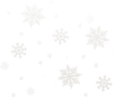 落ちてくる雪の結晶