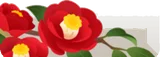 赤い椿の枝