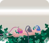ピンクの延長コードと多肉植物