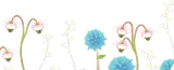 植物保護研究所の希少な草花