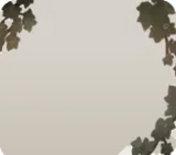 垂れ下がったツタ