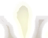 充満した蒸気