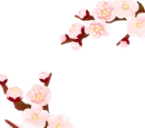 梅の枝・白