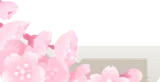 満開の枝垂桜の枝