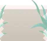 心安らぐ観葉植物