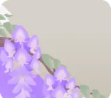 近くに咲く藤の枝
