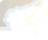 初夏の日差し