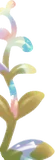 変化しながら育つ植物