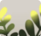 手前にある水草