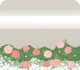 パールのあるバラの茂み・前