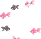 揺蕩う金魚の幻影・手前