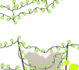 怪しく光る蜘蛛の巣ライト