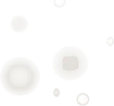 冬空の雪