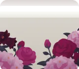 夜に囁く花々