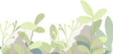 春に芽吹く草