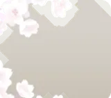 集い咲く白桜