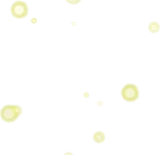 水辺の蛍たち