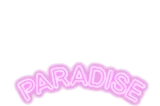 パラダイスのネオン