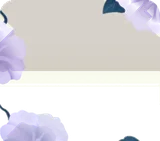 優雅に咲く夜顔