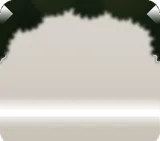 手前の葉のしげみ