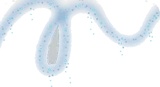 妖精の軌跡・上