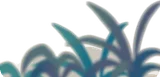 温室の翡翠色の草