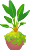 パラダイスの植木鉢