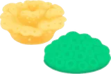 並んだ珊瑚