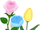 ガーデンに咲く春の花