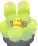 ミニラビットプランター