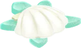 貝がらの小さなカメ