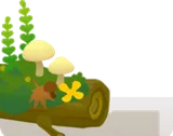 秋の森の倒れた木とキノコ