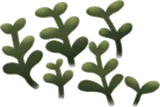 広がる小さな水草・左