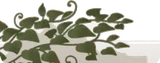 足元を這う草