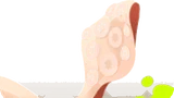 忍び寄る大きなイカ足